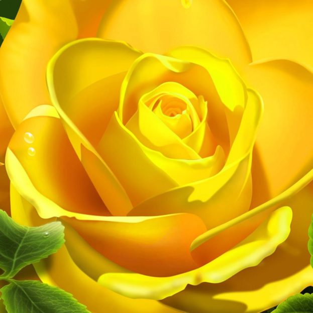 ورد اصفر طبيعي جميل - صور ورد وزهور Rose Flower images